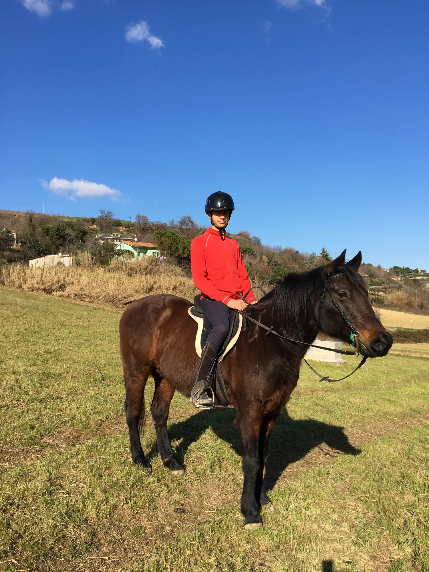 Giovane allievo con il caschetto in sella a un cavallo baio sul prato, sotto il cielo azzurro delle colline