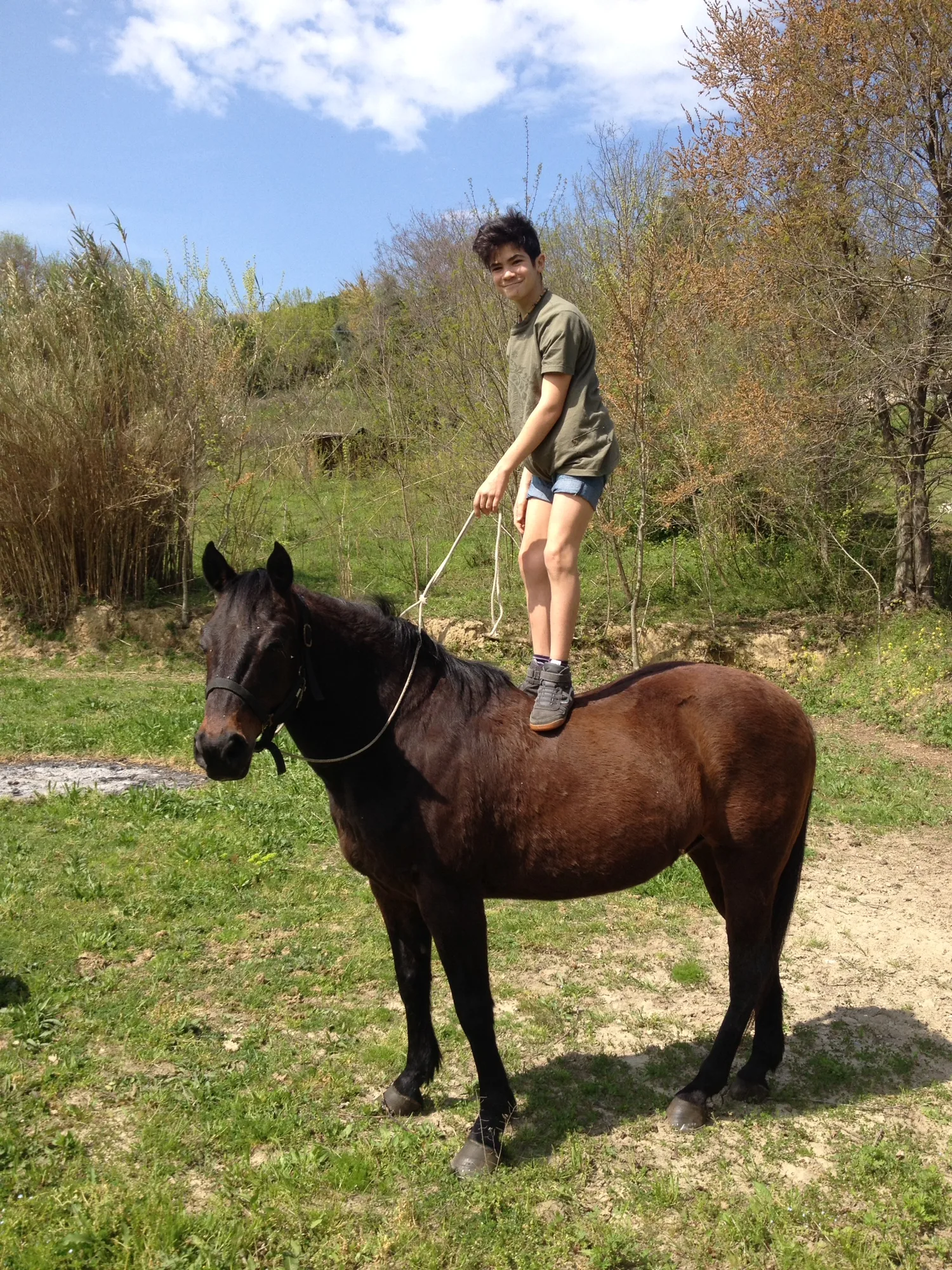 Giovane allievo in piedi sulla groppa di un cavallo baio nel prato, esercizio di equilibrio e fiducia