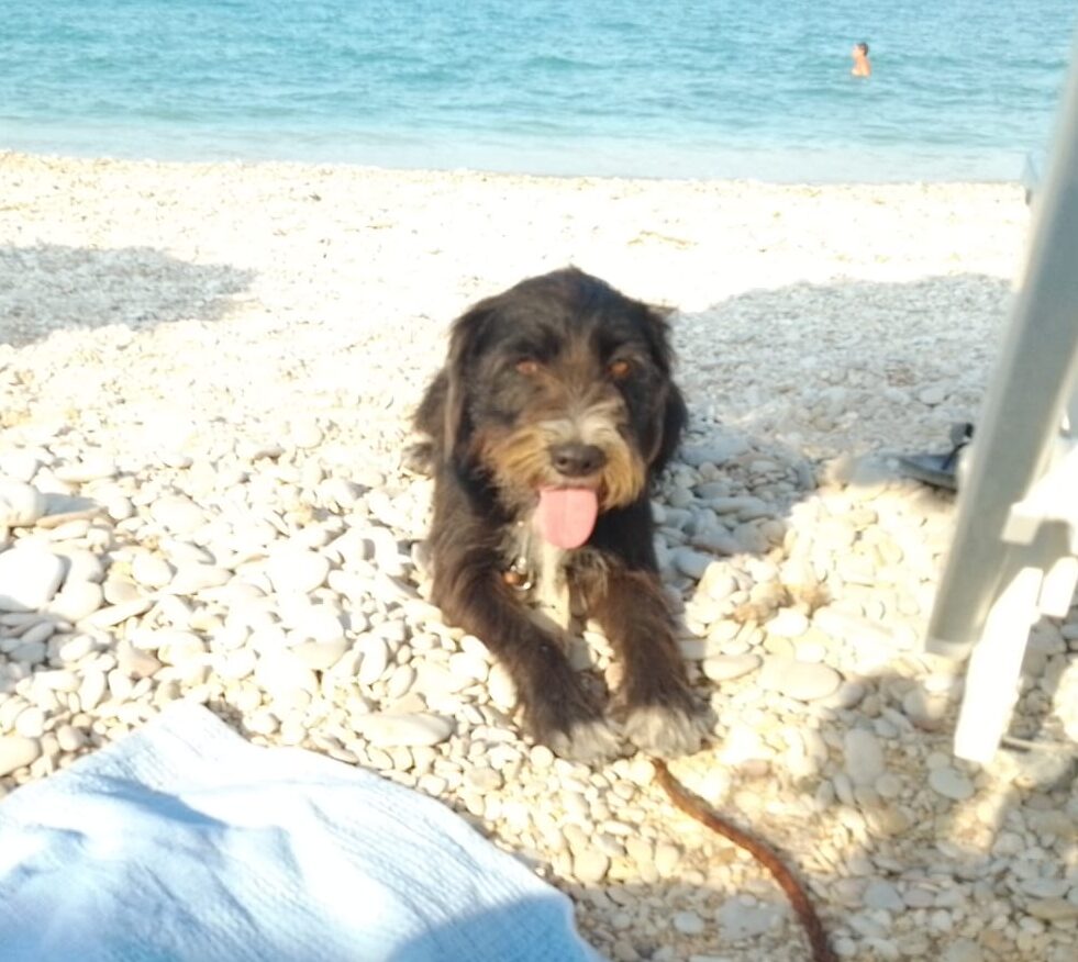 La spiaggia dell'Adriatico alla foce del Tenna