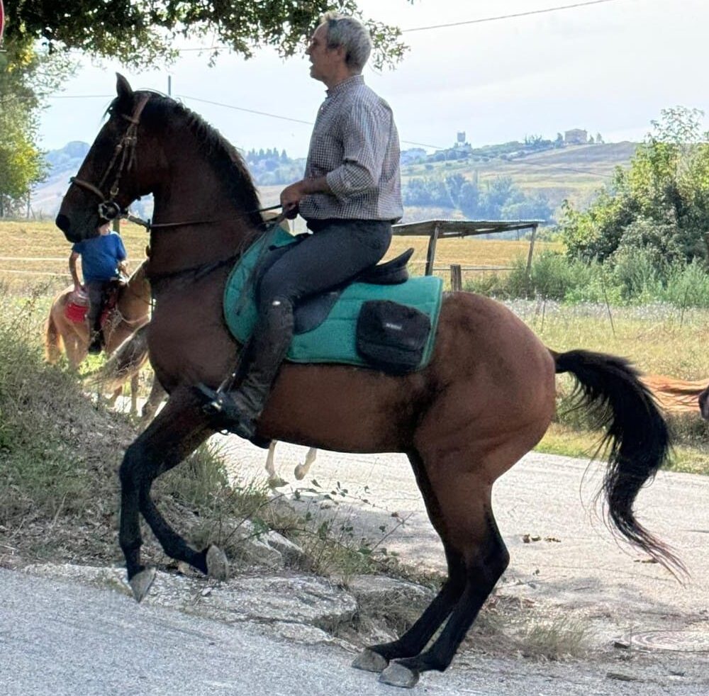 In sella lungo una strada di campagna tra le colline